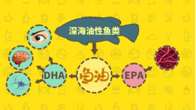别再纠结物流选哪家！这份服务排行榜，帮你精准踩雷